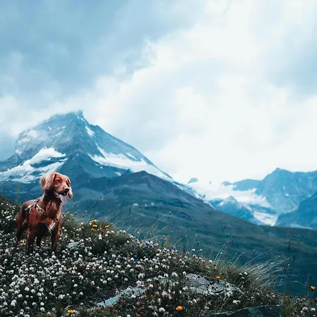 Hapimag Zell Am Aparthotel Zell am See